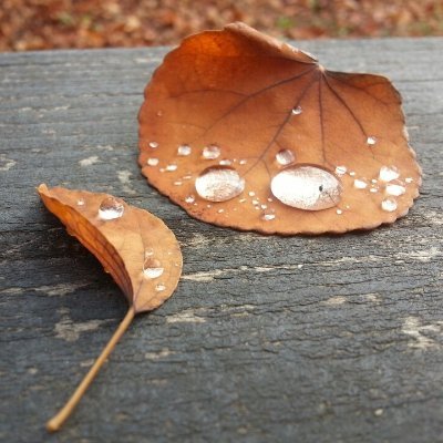 dreamy_raindrop's profile picture