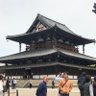 奈良に引っ越しました。's profile picture