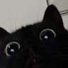 ม๋า's profile picture