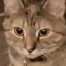 Profilbild von Zaydee May