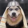 Profilbild von Mr. Smiledog