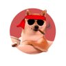 Chimtu_Bhai's profile picture