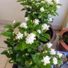 Фото профиля مجرد رأي
