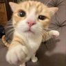 Adam profil fotoğrafı