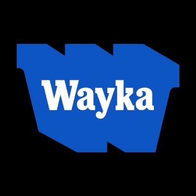 WaykaPeru's profile picture