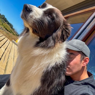 🥷🏻's profile picture