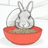 Profilbild von Boudica_Rex