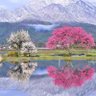 えりこ profil fotoğrafı