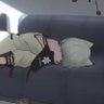 请假王's profile picture