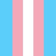 Transbaddies1's profile picture
