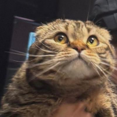 tusen_stjerner's profile picture