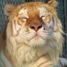 Фото профиля male misandrist 🐯
