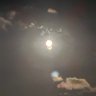 LondonDaVinci's profile picture