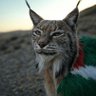 Rubi_Que profil fotoğrafı