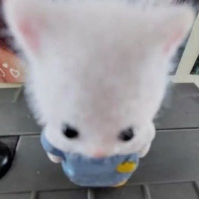 rmoggg's profile picture
