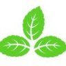 Mint profil fotoğrafı