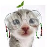 Oli profil fotoğrafı