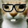 Matuuu's profile picture