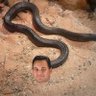Snake Miller's profile picture