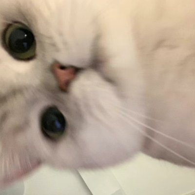 pokersleep's profile picture