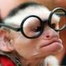 Фото профиля YoTips
