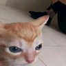 Miku_59's profile picture