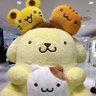 むうぅぅぅチョ 的头像