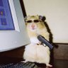 Profilbild von zac
