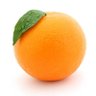 Orange 🍊's profile picture