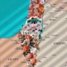 AY 🇵🇸۞🔻🥄🍉 profil fotoğrafı