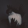 Black Swan 的头像