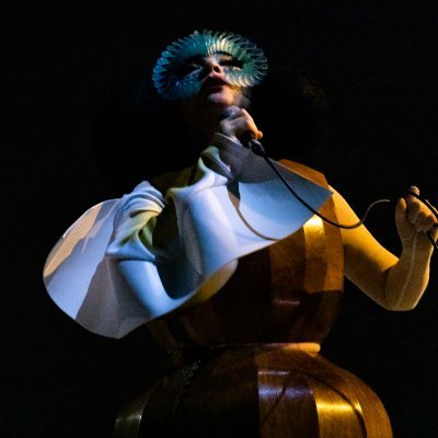 bjork's profile picture