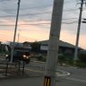 しひみのる 的头像