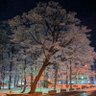 Фото профиля 雪男