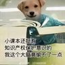 呼呼哈嘿's profile picture