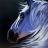 Shadowfax profil fotoğrafı
