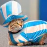 Profilbild von Ram