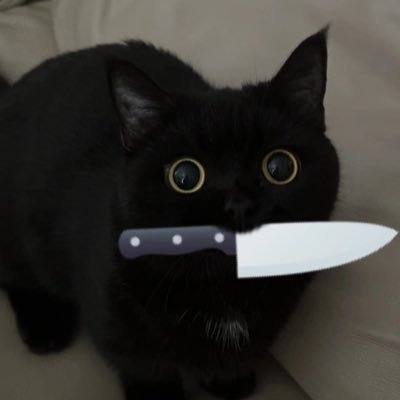 跳蛋漏电命悬一线's profile picture