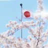 日本を守りたい女子🌸 的头像