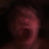 atilla's profile picture