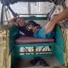 Budhibaik10's profile picture