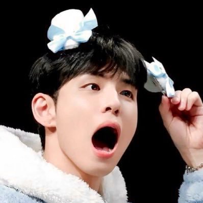 noel 🦦's profile picture