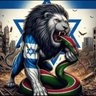LionofZionUK 💙🇮🇱🎗️ 的头像