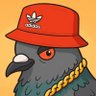 Profilbild von Nifty DEL