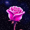 Фото профиля Celestial Rose