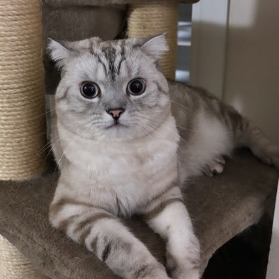 Heisenberg_Wei's profile picture