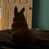 Фото профиля Rebecca Little