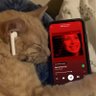 😺 profil fotoğrafı