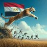 Mahmoed said profil fotoğrafı