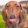 Effoley Sayrus's profile picture